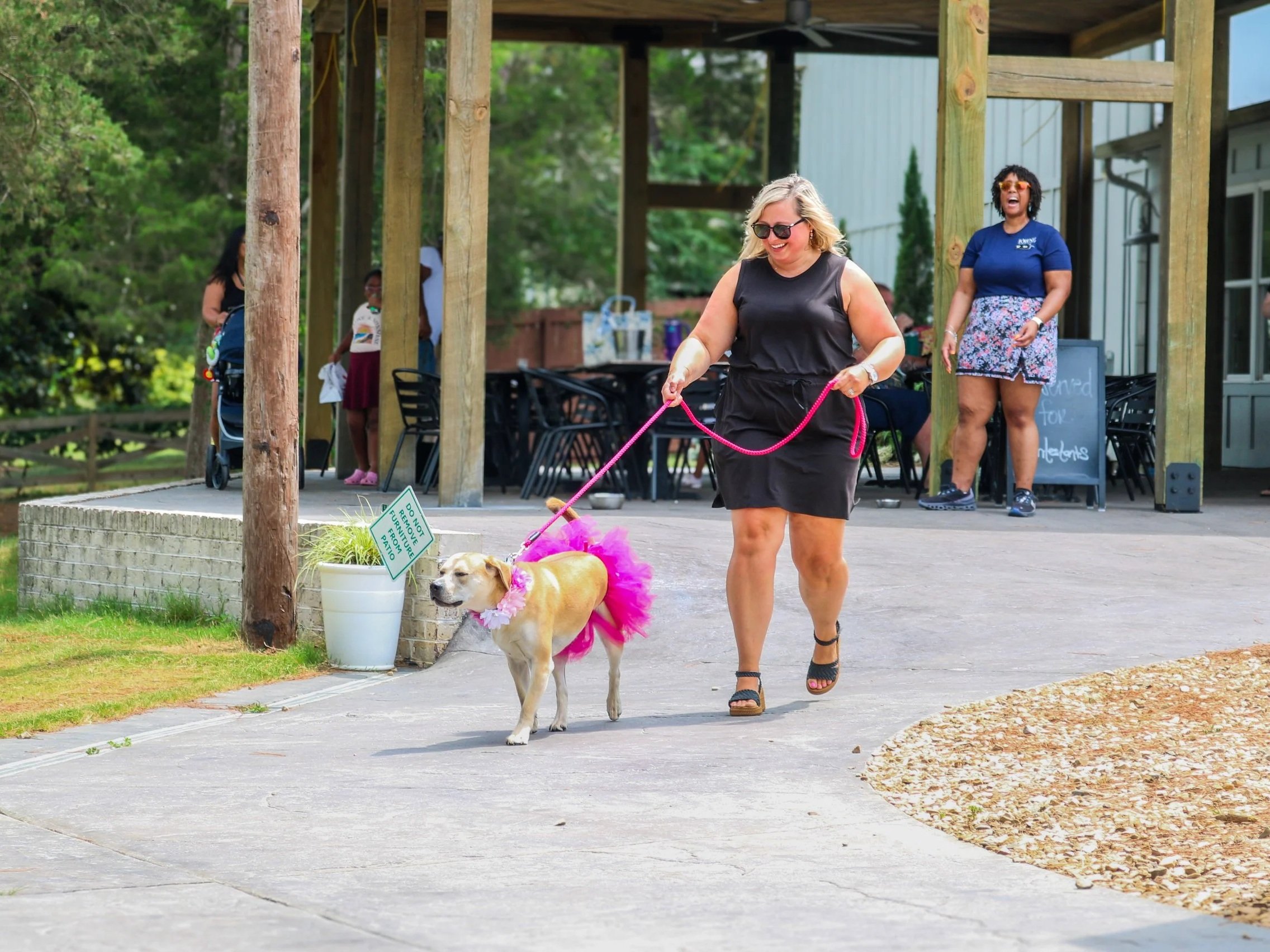 DogDaysofSummer2.jpg