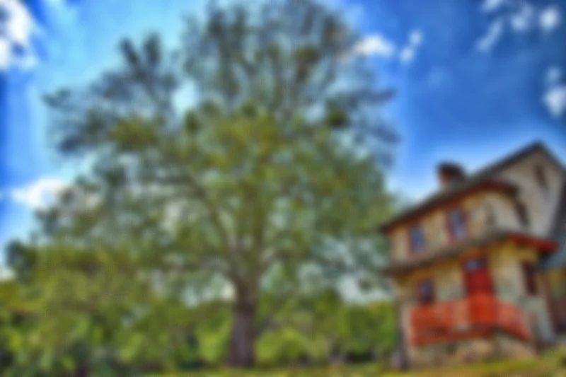 Hank's Place