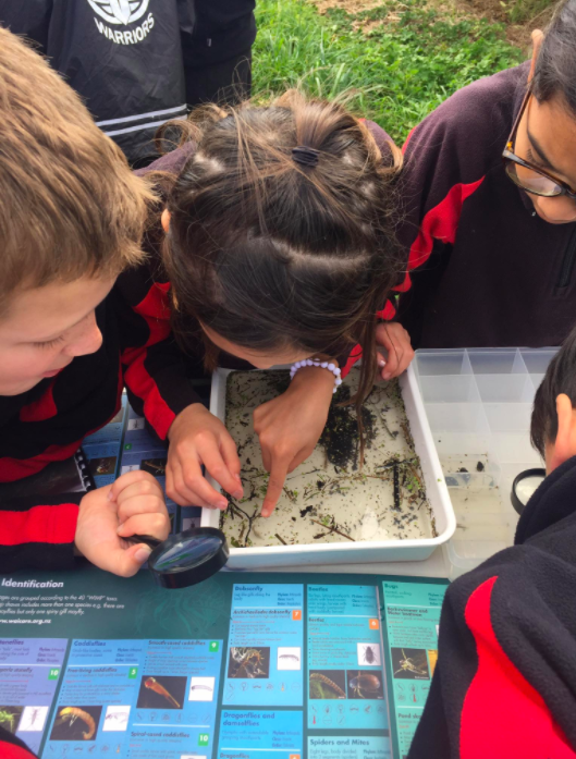 Being an engaged learner with my team.