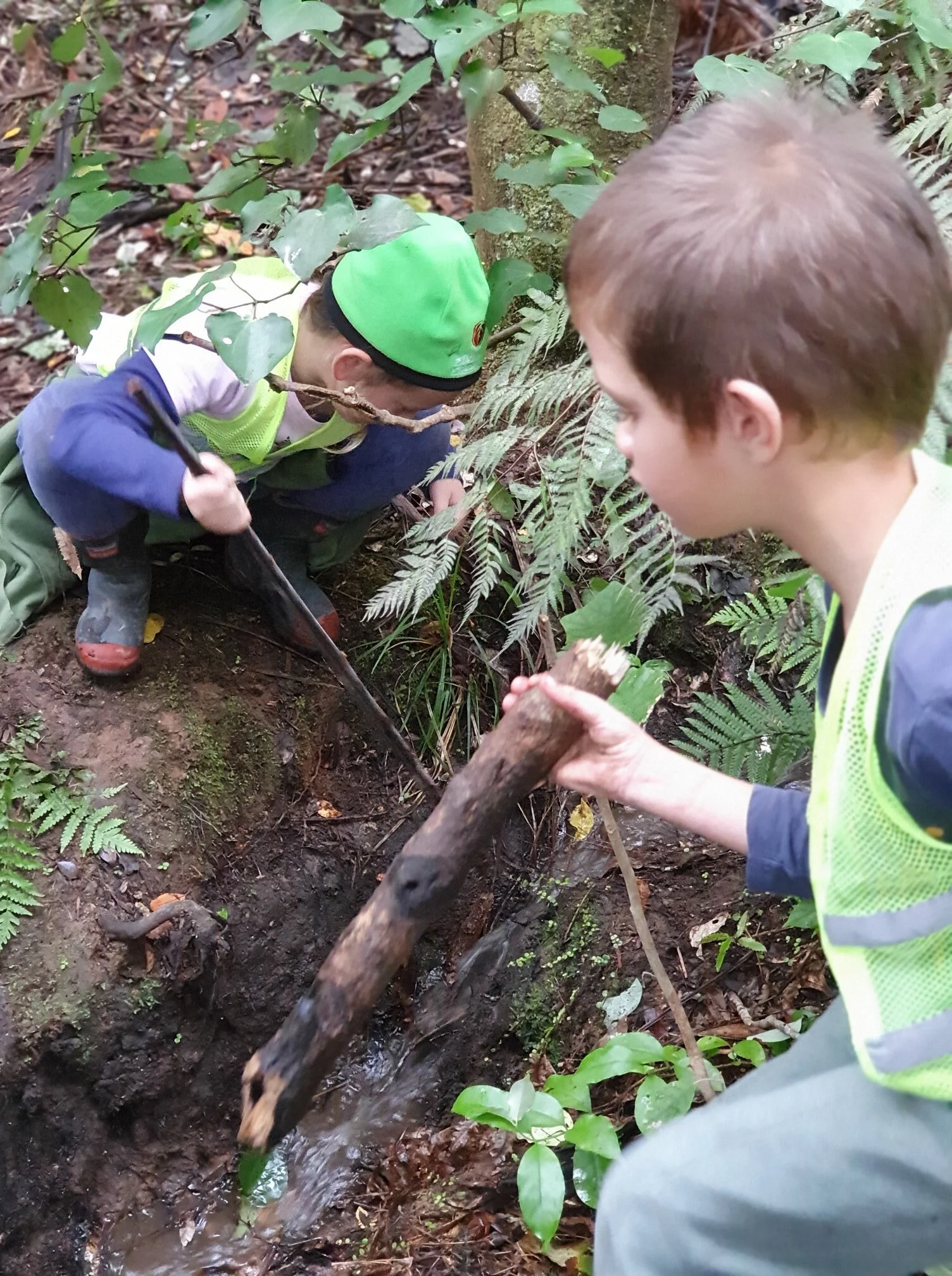 Being curious about our local environment