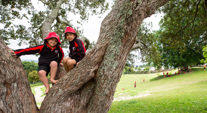 Playing with our friends.