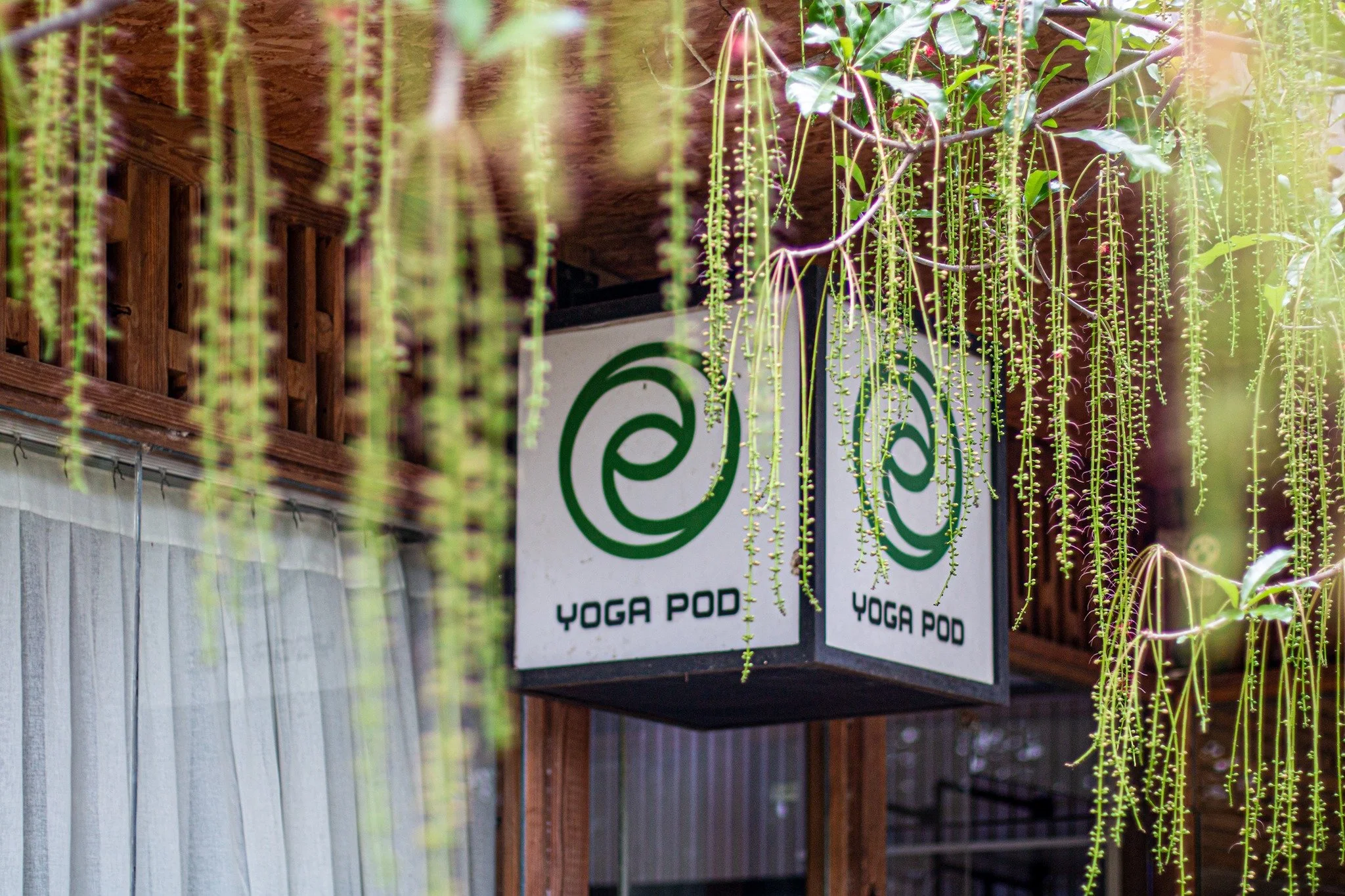 Dịch vụ cho thuê không gian Yoga Pod: Tổ chức sự kiện giữa không gian an yên