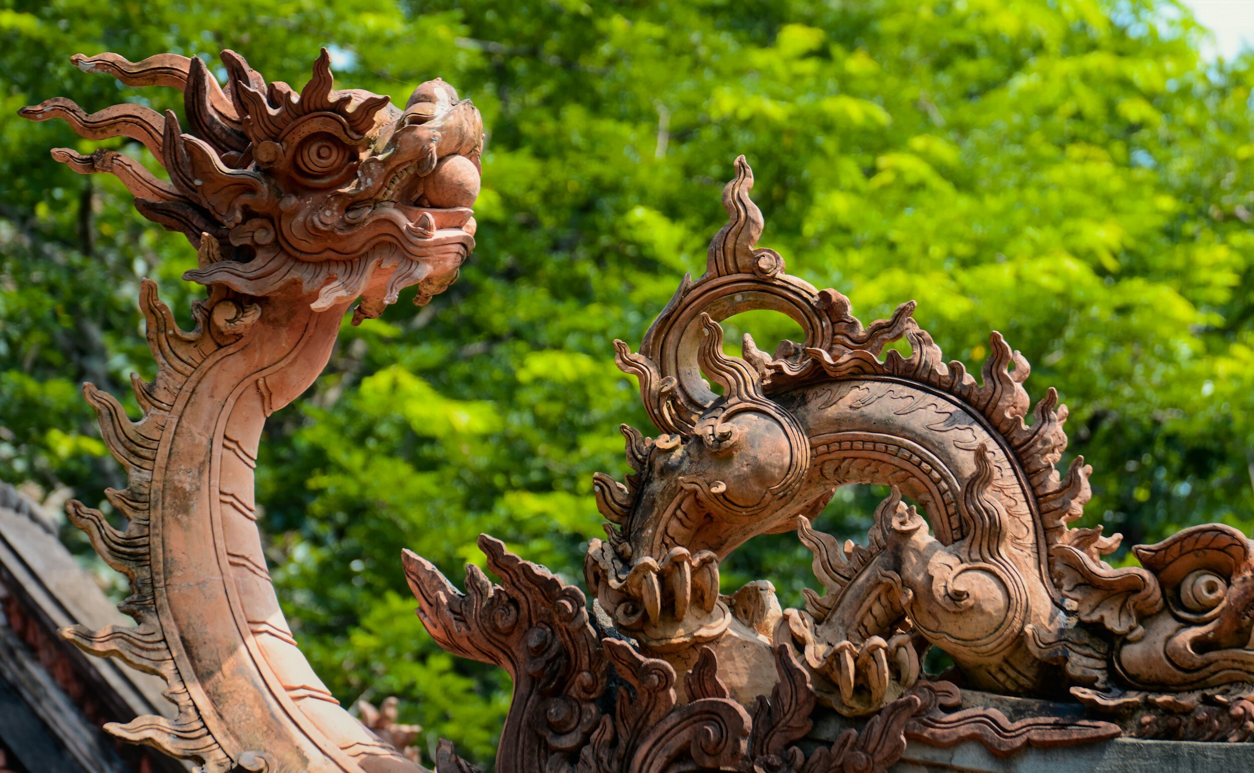Dance with the Wood Dragon for a joyous New Year