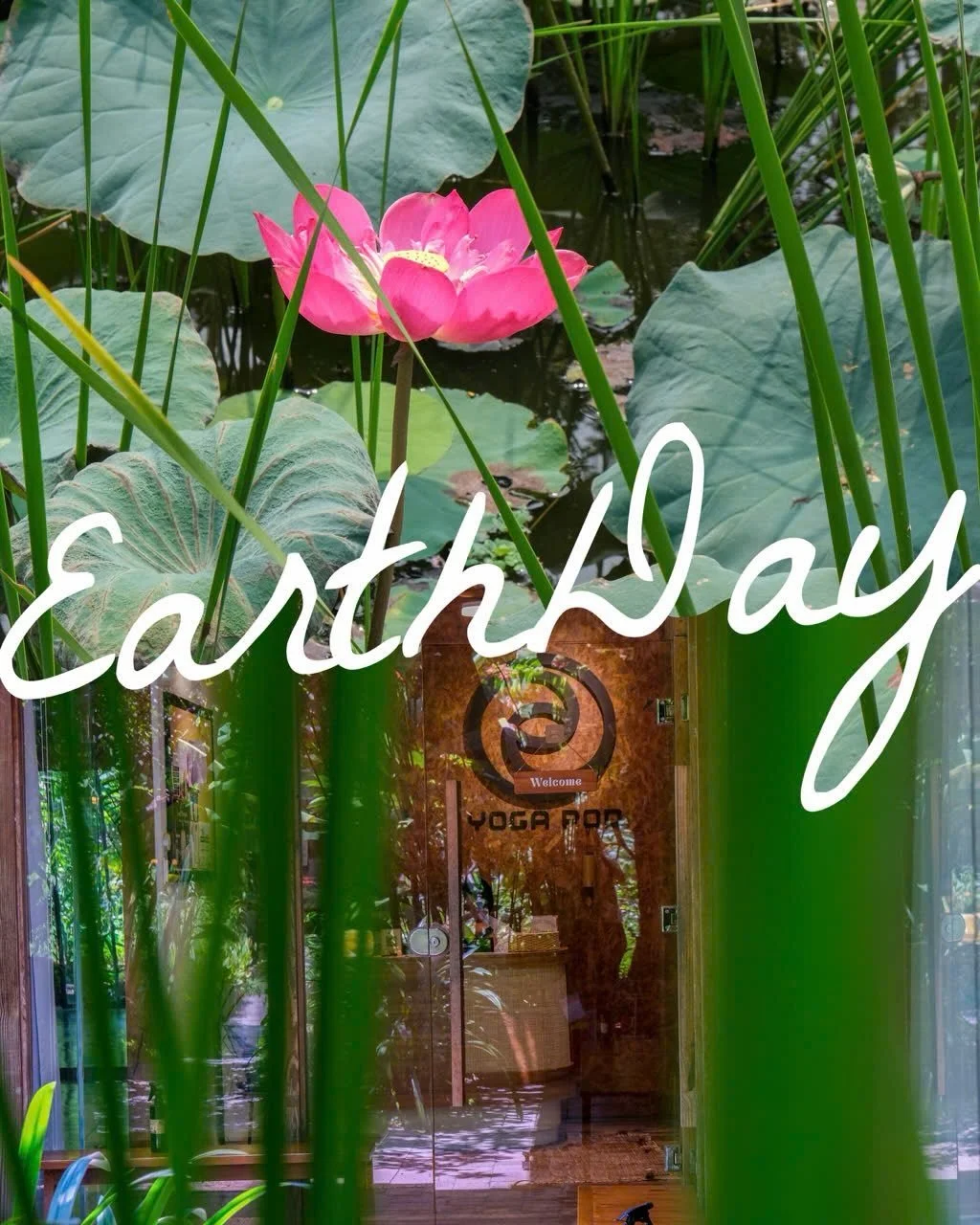 ( Vui l&ograve;ng xem Tiếng Việt b&ecirc;n dưới)
🌍 𝙃𝙖𝙥𝙥𝙮 𝙀𝙖𝙧𝙩𝙝 𝘿𝙖𝙮 - 𝟮𝟮.𝟬𝟰.𝟮𝟬𝟮𝟲 ⛅ 

Earth Day is a gentle reminder that we are always a part of nature. We breathe with the trees, flow with the water, and are supported by the ear