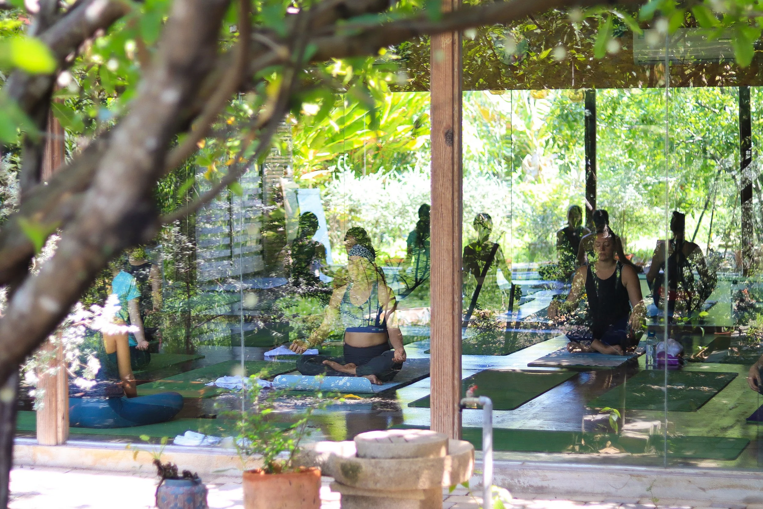 Ritual vs. Routine: Making Life Feel Sacred