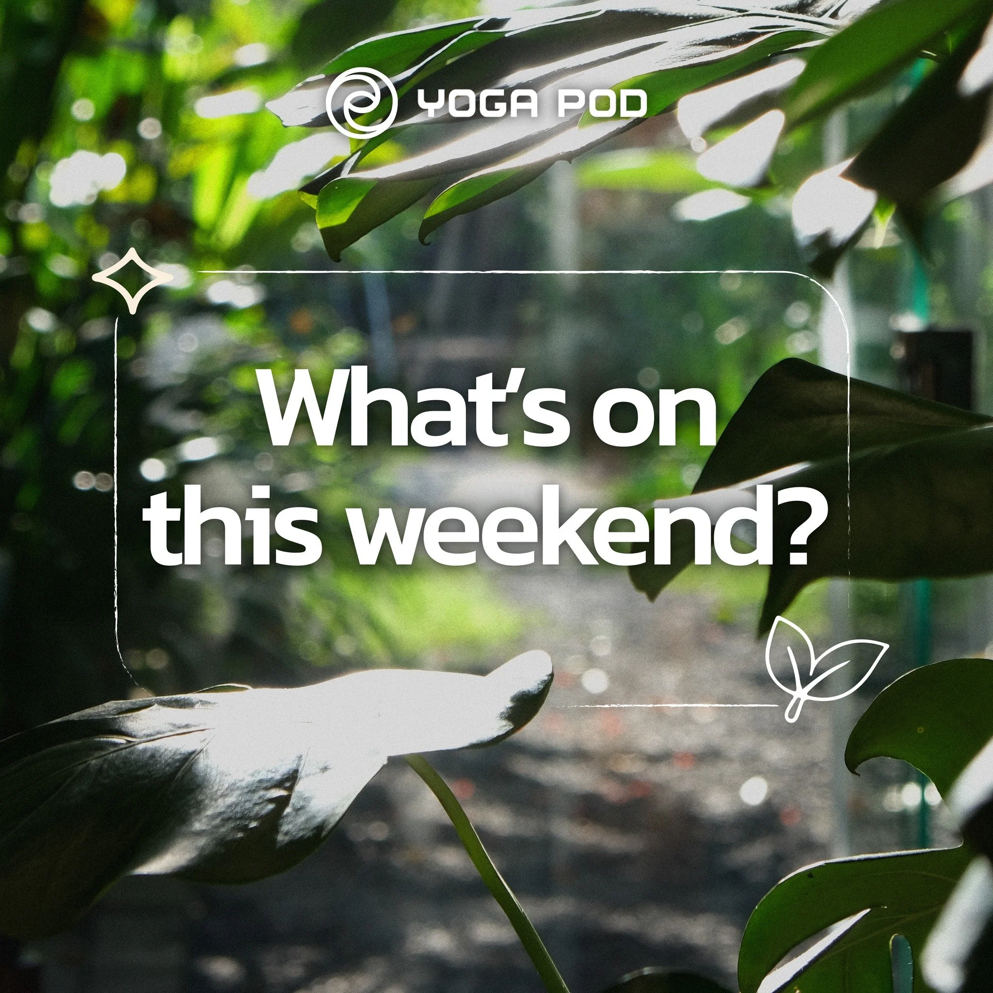 🌿 The last weekend of every month is always a special time at Yoga Pod ~~
If your weekend is still open, Pod offers three distinct experiences for you to choose from, whether it is caring for your body, listening inward, or connecting deeply with yo