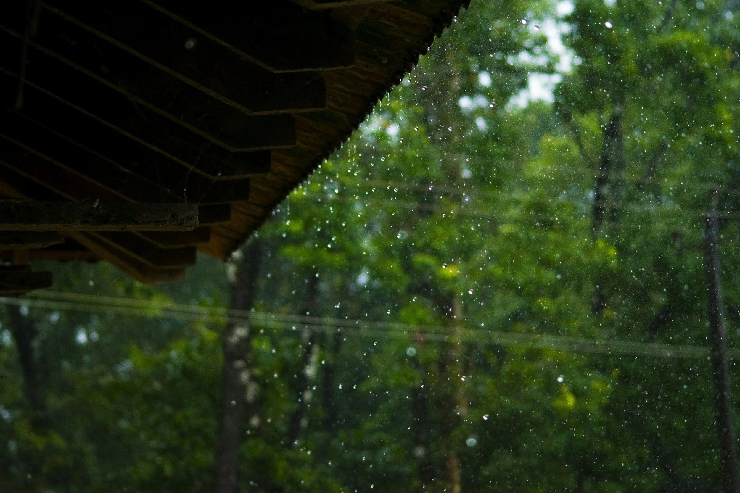 Rainy Days, Restless Minds: Moving Through the Wet Season