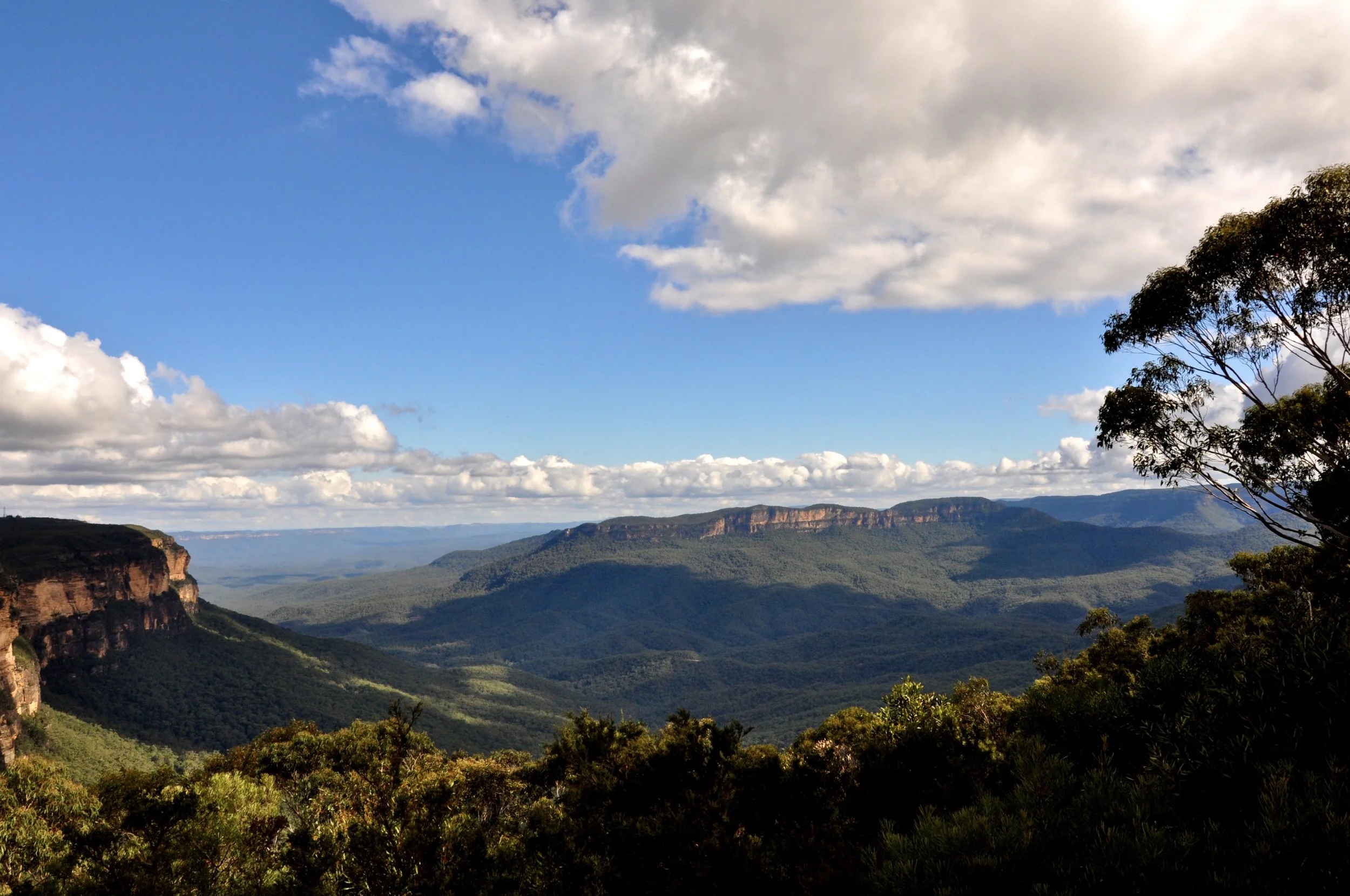 Blue-mountains-landscape.JPG