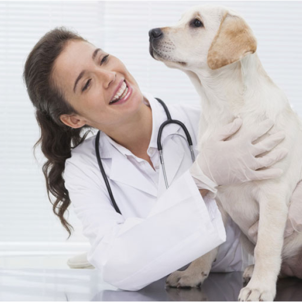 GSF landing page images26.jpg