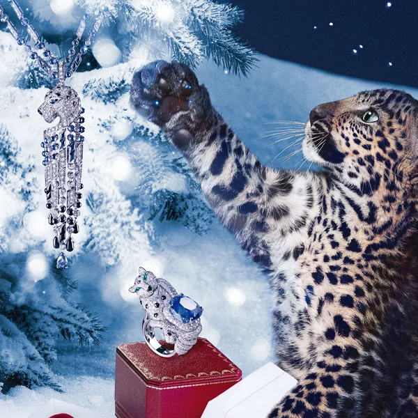 GSF landing page images5.jpg