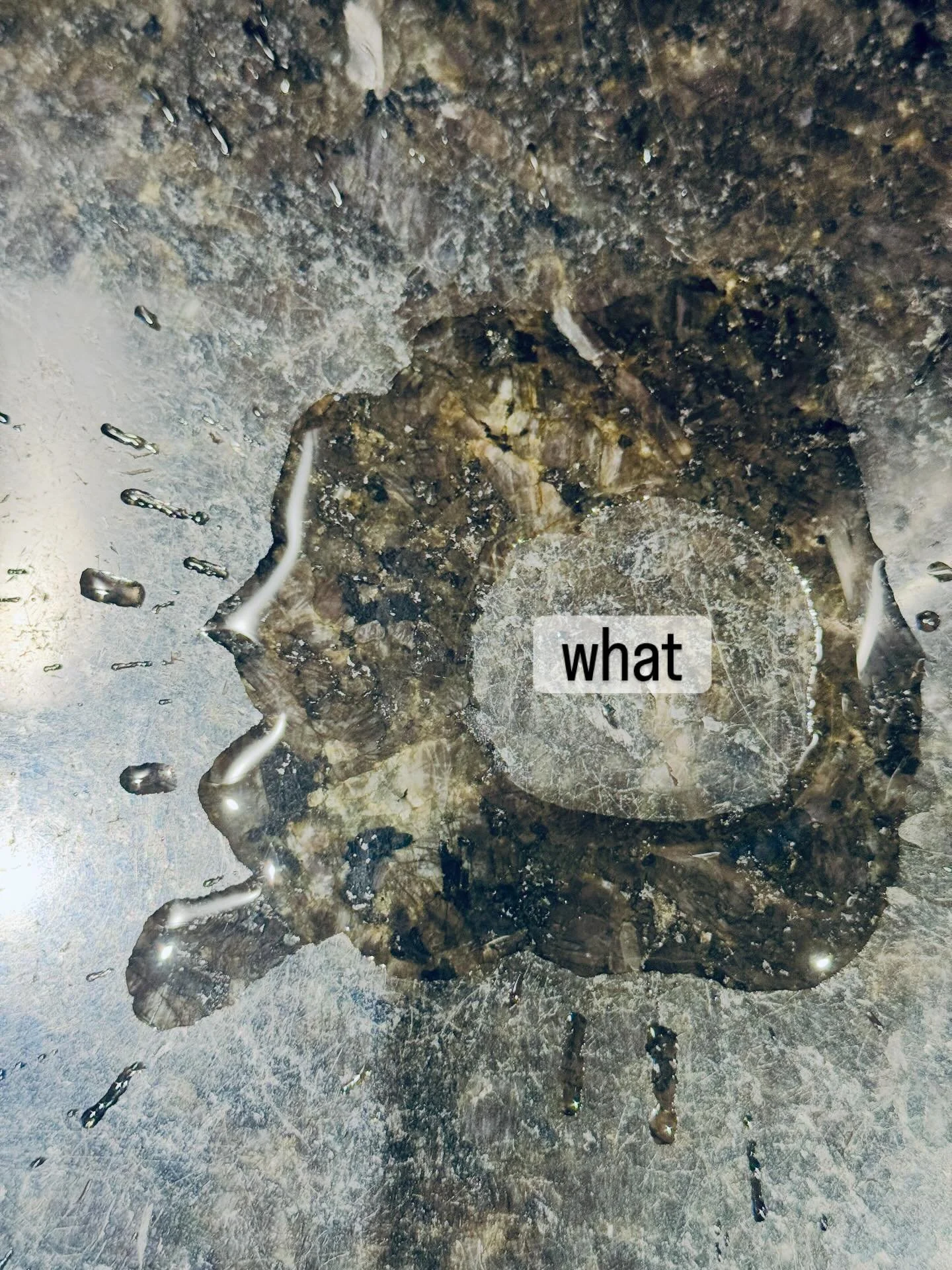 These moments of noticing slow time. Create a pause, a way to step out of hustle and just be right where i am. 

Photography (non technical, imperfect) has been a creative practice and resource to me since I took my first photography class in the lat