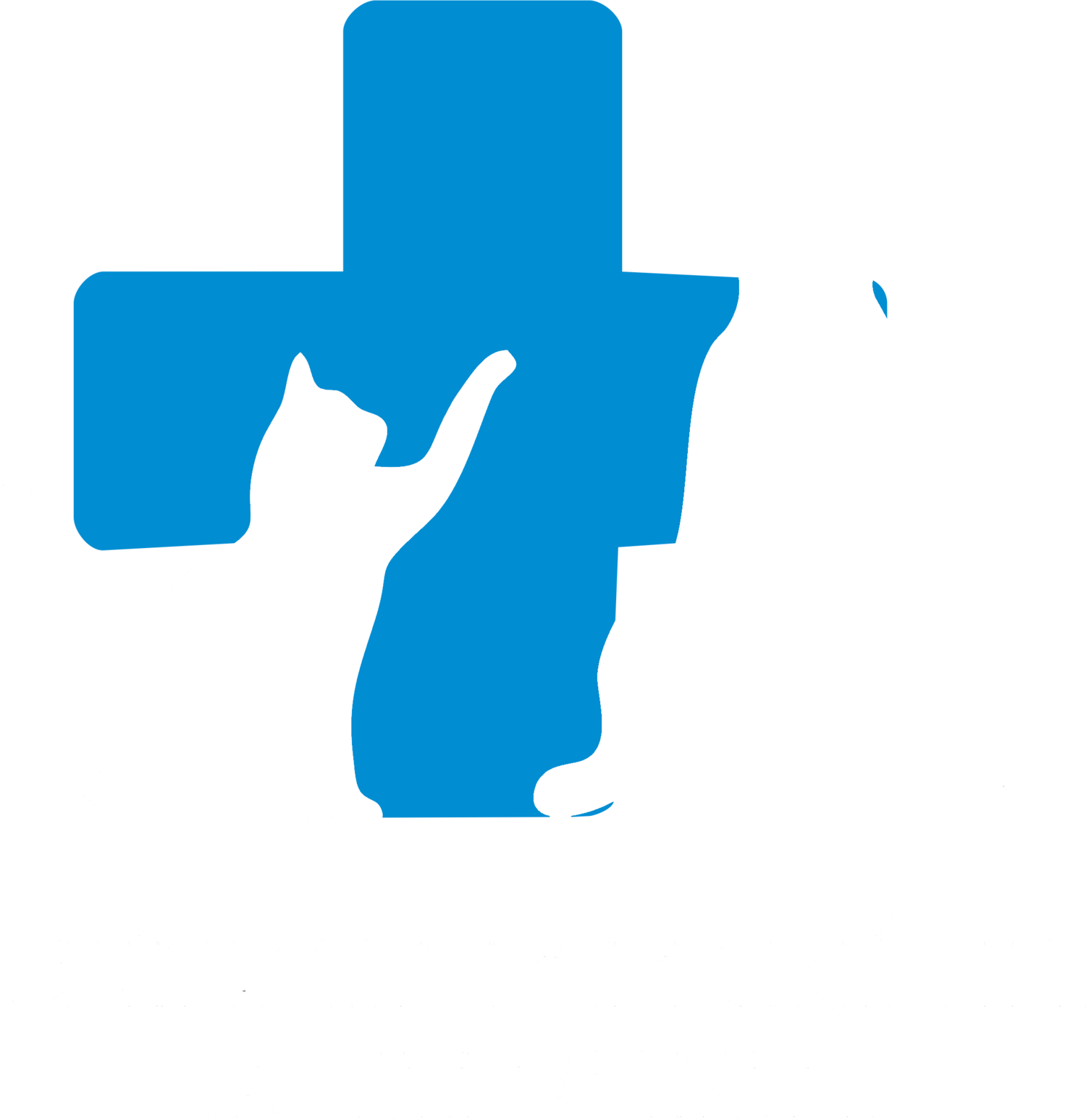 Clinica Veterinária Fonte Santa