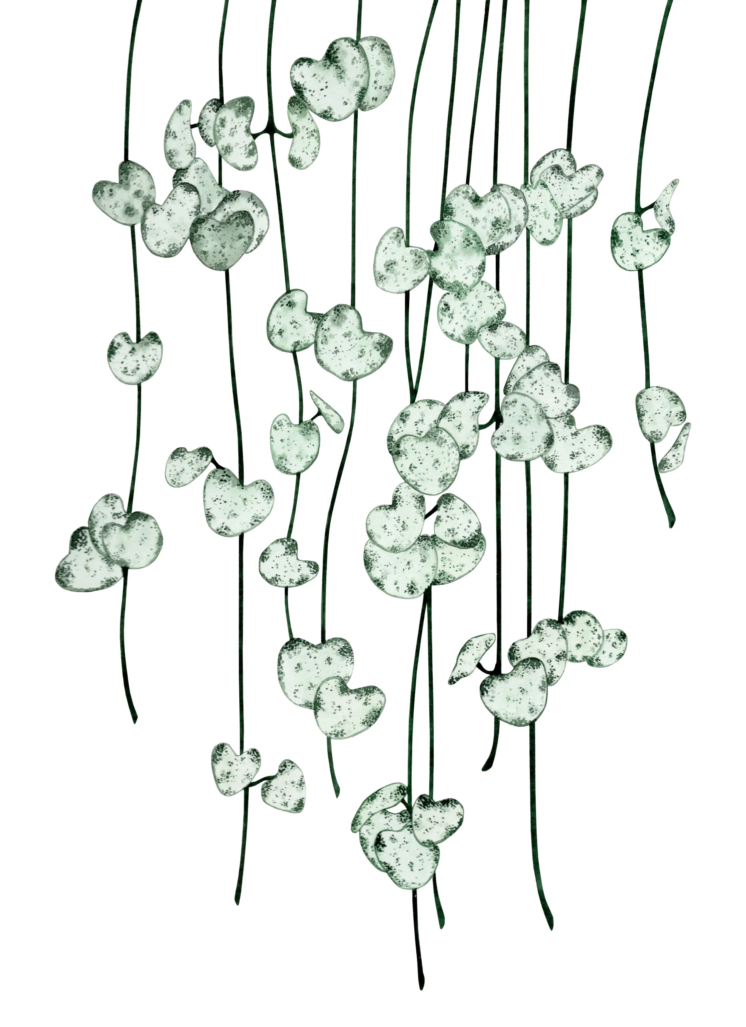 String of Hearts.jpg