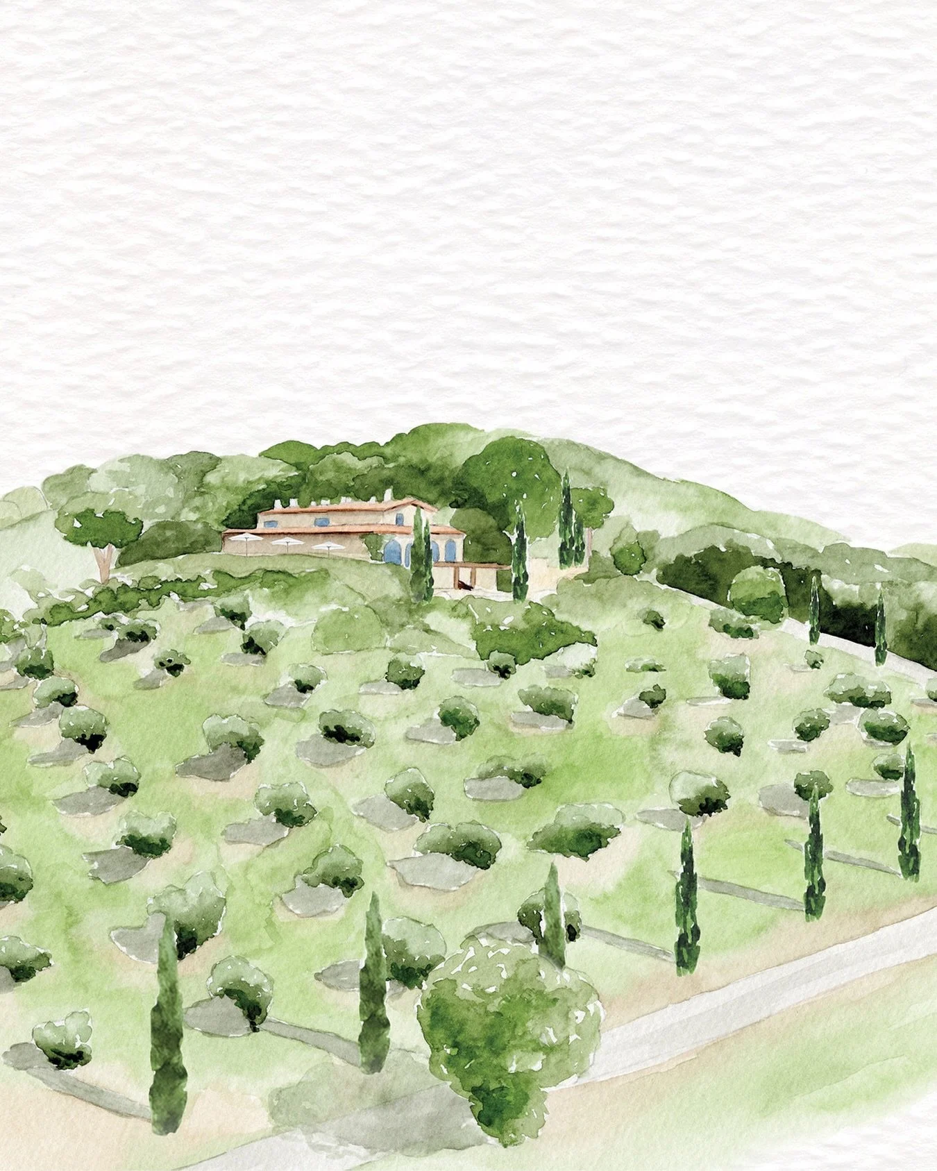 A venue painting of @contidisanbonifacio amongst the hillside vines, long shadows cast by the early morning sun. #contidisanbonifacio #italianwedding #venueillustration #bespokeweddingstationery #customweddinginvitations #vineyardwedding