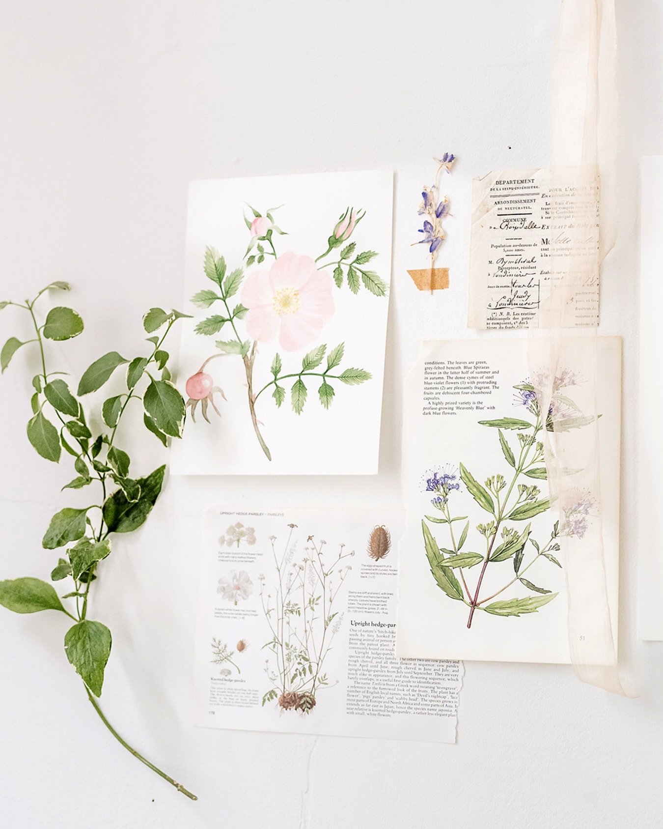 The custom design process often begins with research; gathering images, swatches and foliage to create an aesthetic direction for your stationery. My clients will often share images from their florist, venue and wedding dress but we&rsquo;ll also inc