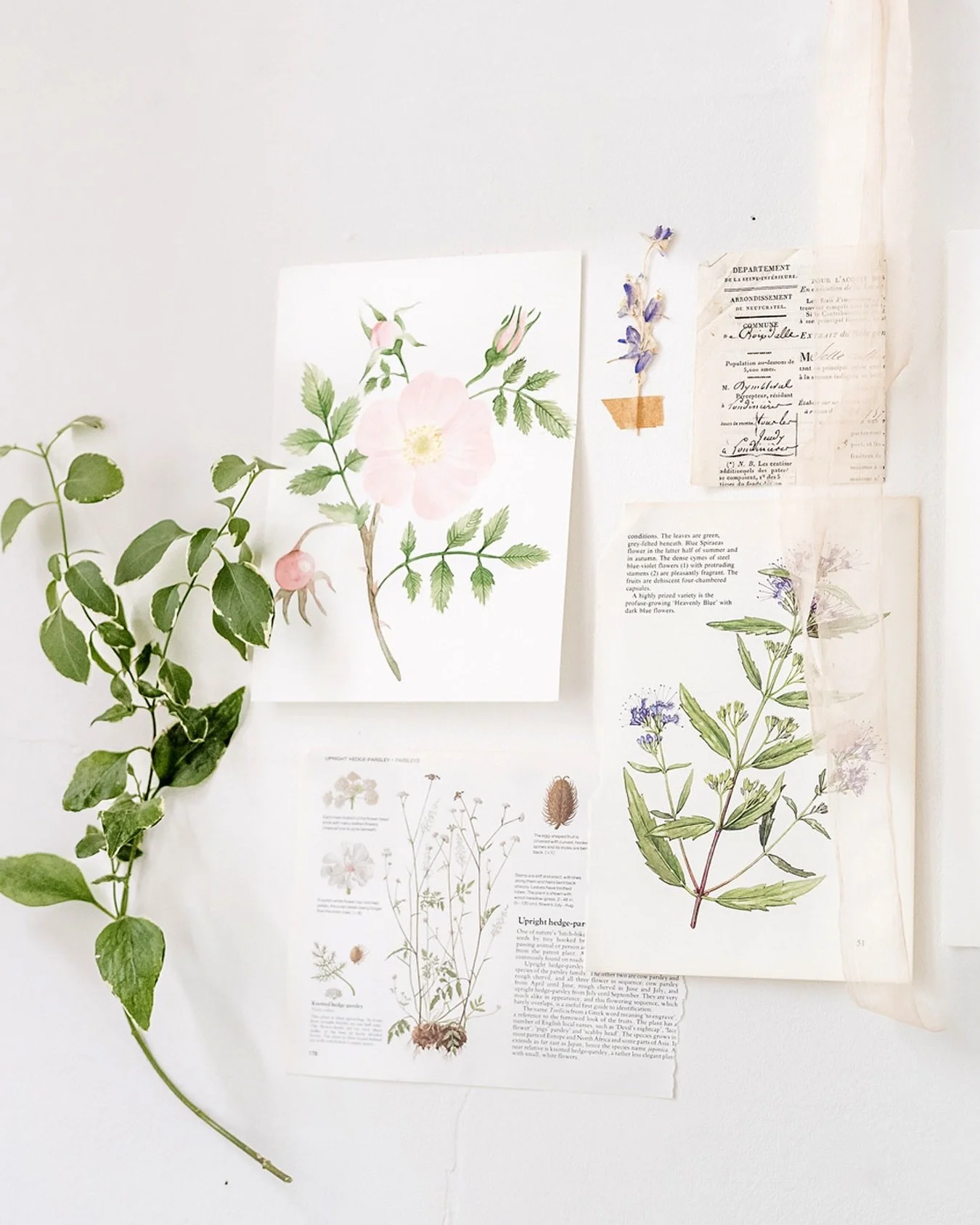 The custom design process often begins with research; gathering images, swatches and foliage to create an aesthetic direction for your stationery. My clients will often share images from their florist, venue and wedding dress but we&rsquo;ll also inc