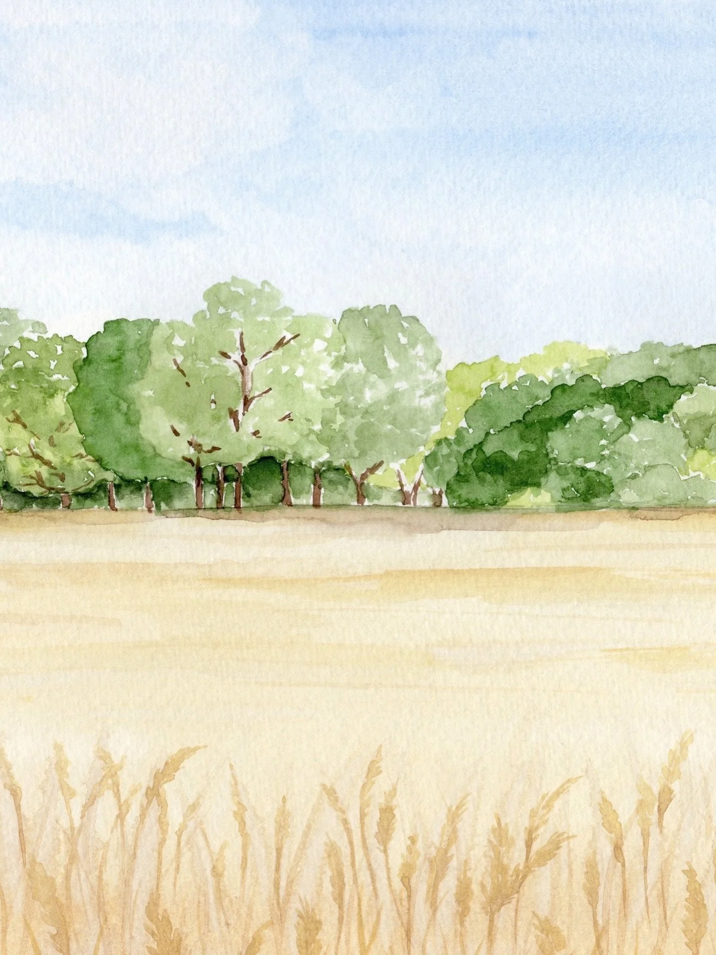 This painting of a wheat field was for the front of a gatefold invitation suite and depicts the view looking out from the wedding marquee. I absolutely loved painting this landscape, especially those detailed strands of wheat in the foreground. A lit