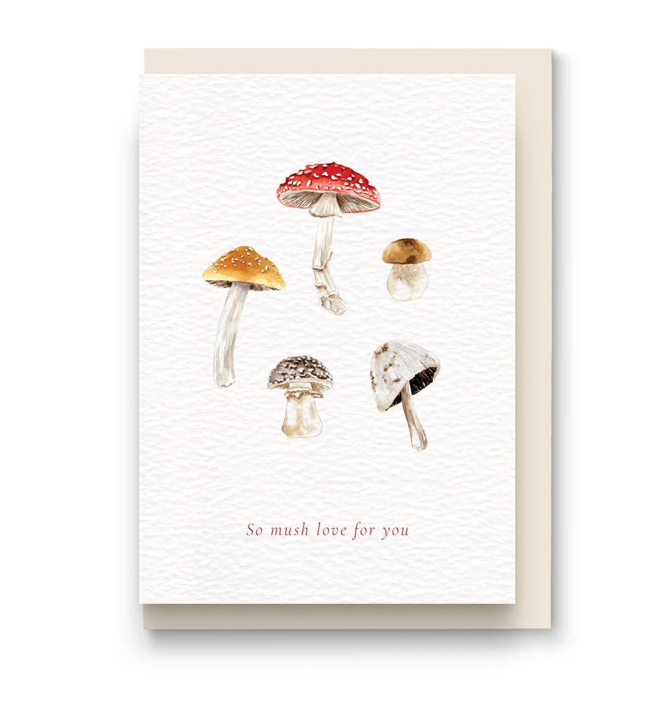 Mushroom Valentines Day Card with envelope.jpg