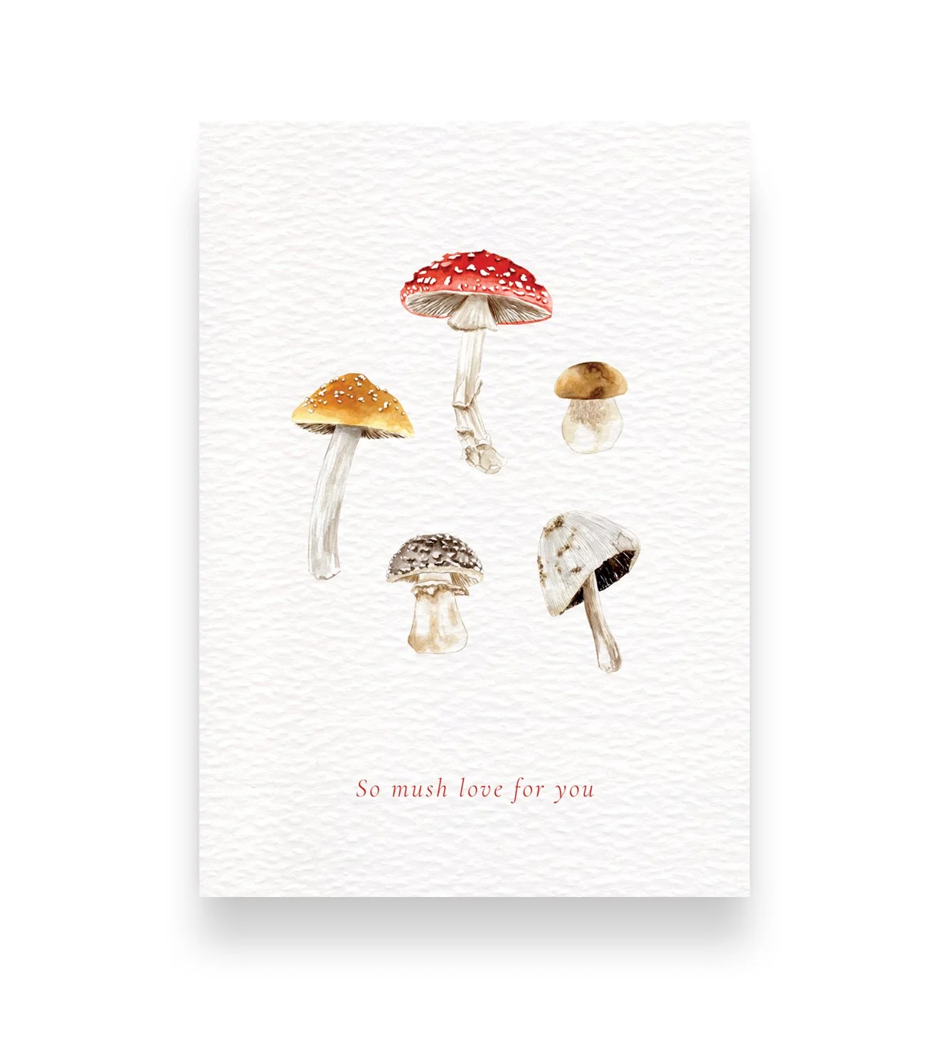 Mushroom Valentines Card.jpg