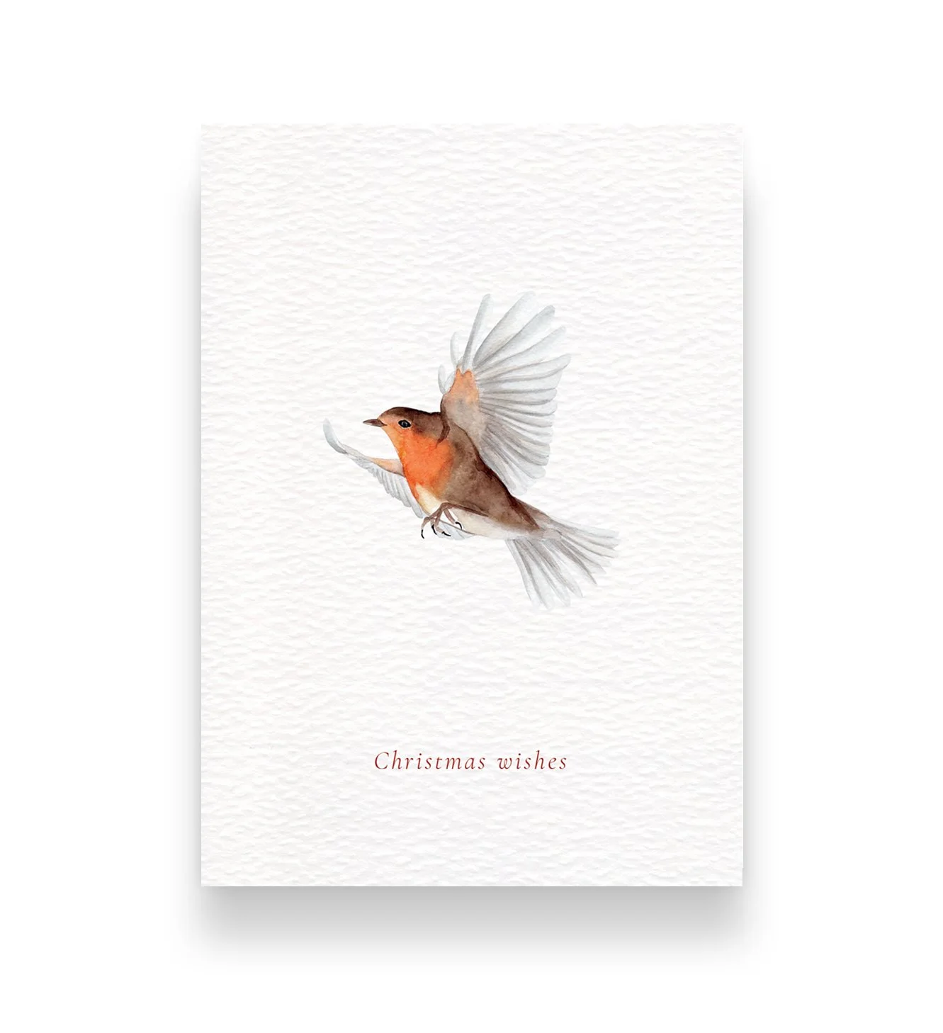 Robin Christmas Card.jpg