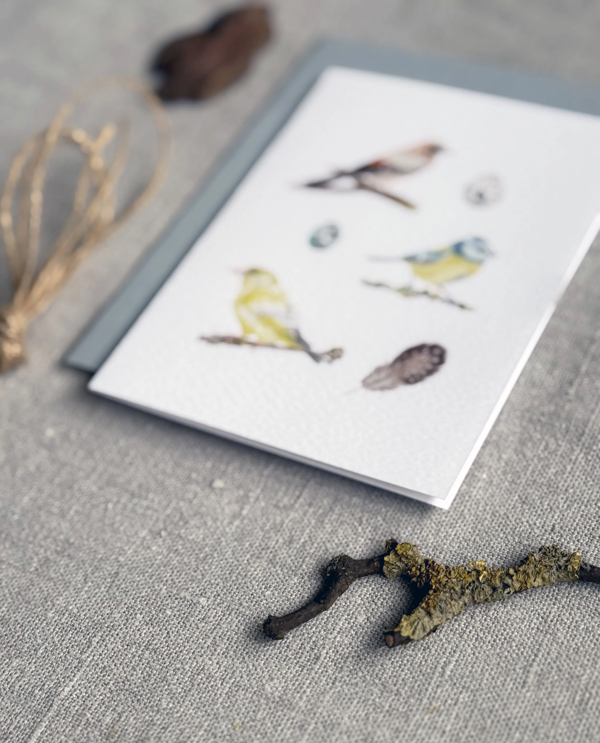 birdwatching card crop.jpg