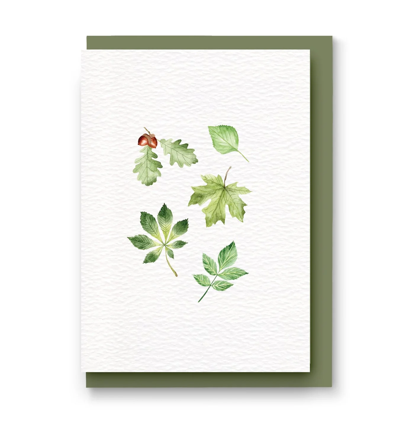 Leaf Collection with envelope.jpg