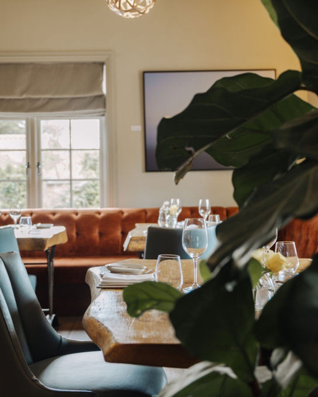 Our dining room offers a calm and neutral environment with the aim of making everyone feel relaxed and comfortable. Ready to book?

www.thewildebeest.co.uk