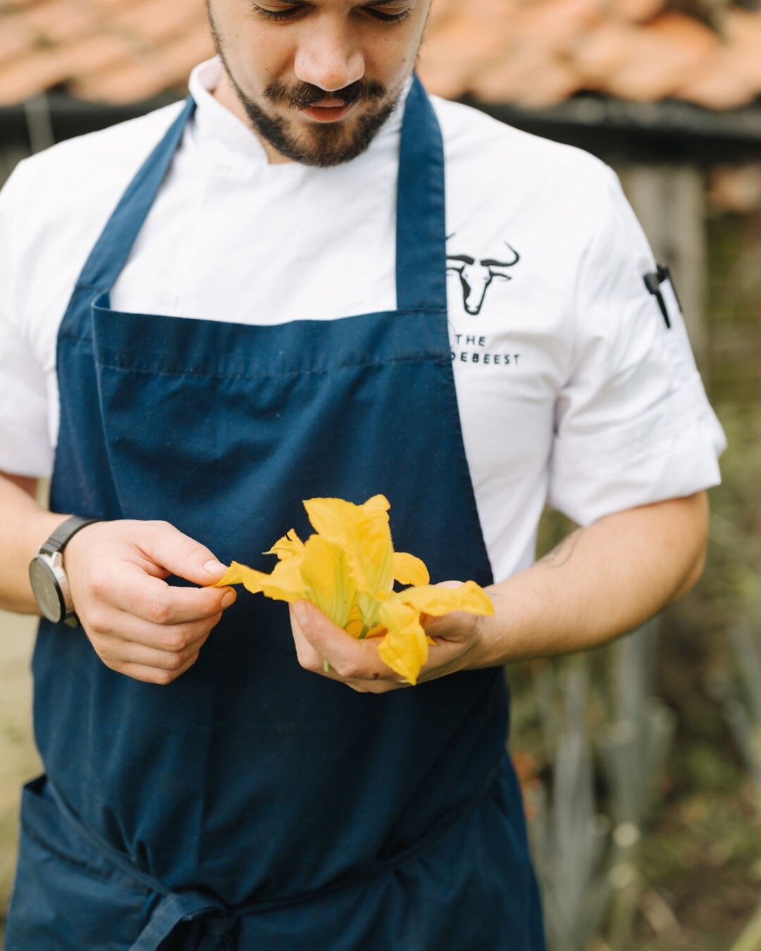 We asked Head Chef Fabio Miani what ingredients we're likely to see on his menus this Spring. Here's what he said...

Lamb -  Wild Garlic &amp; Spring Lamb - very tender and great boned and roasted - easier to carve - butterflied or simply served as 