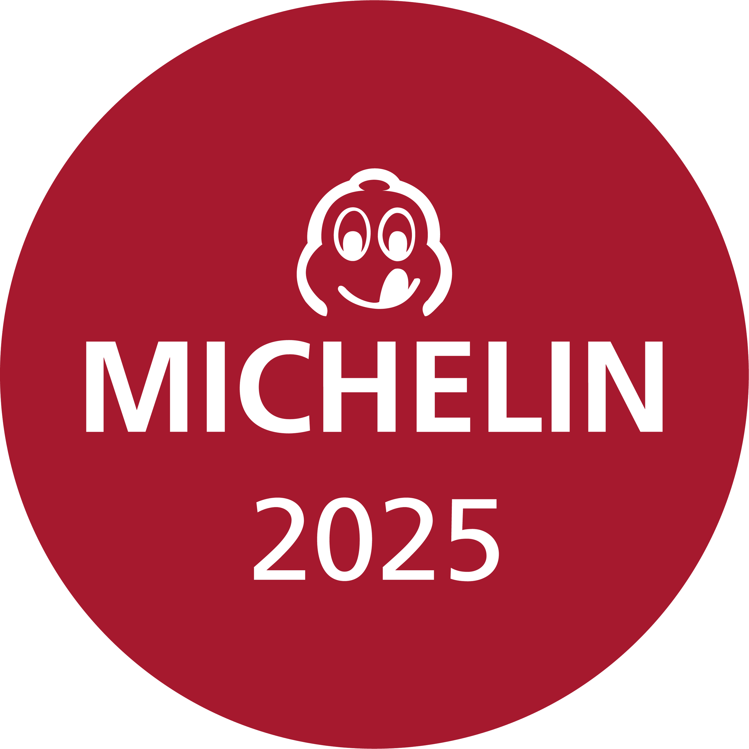 MICHELIN 2025_Bib_E-label.png