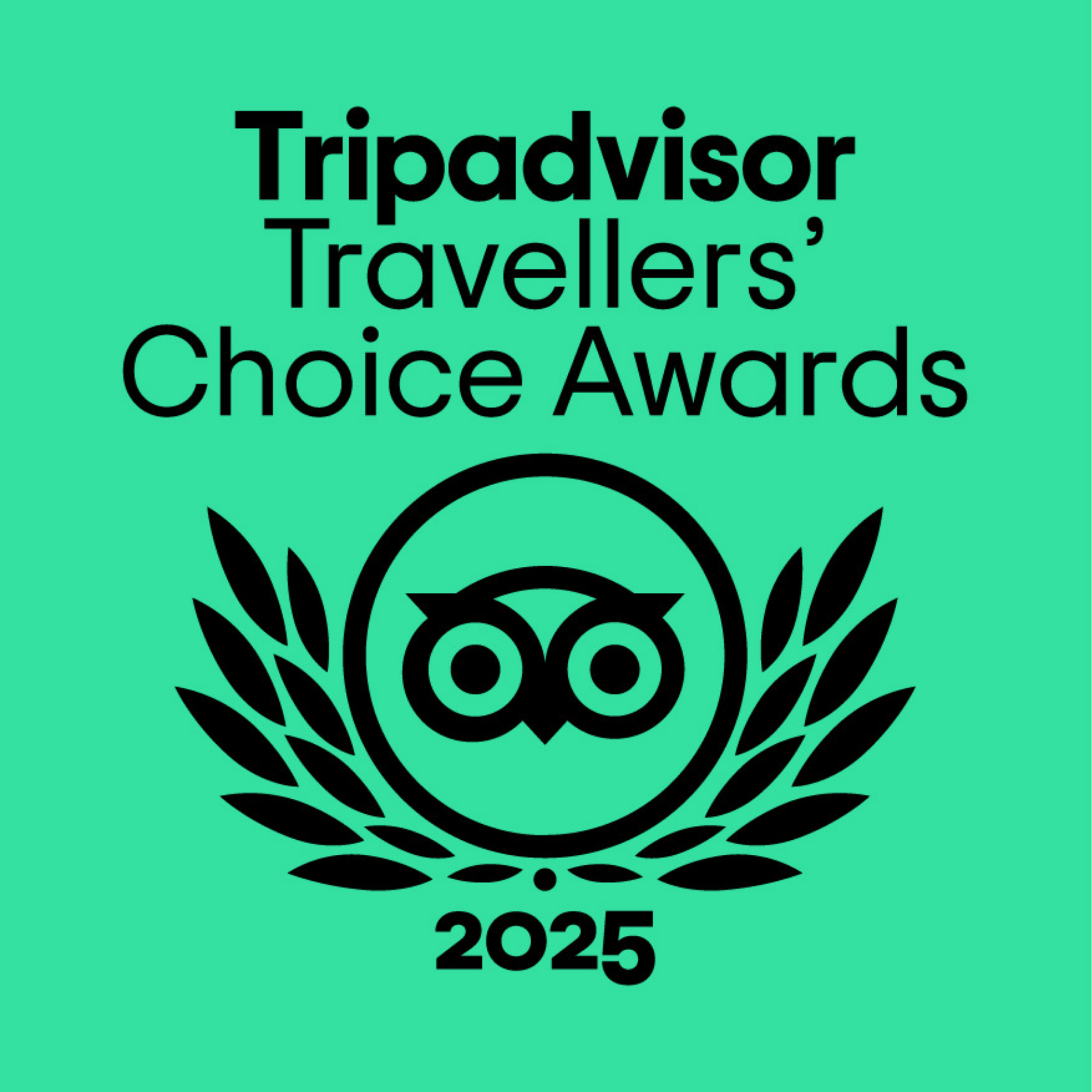 Tripadvisor (1).png