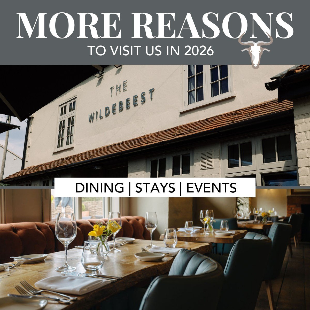 As we bid farewell to 2025 and welcome in 2026, there are even more reasons to visit The Wildebeest in the new year. Don&rsquo;t miss our brand-new dining deal (head on over to our website for more info) and our continually consistent dining experien