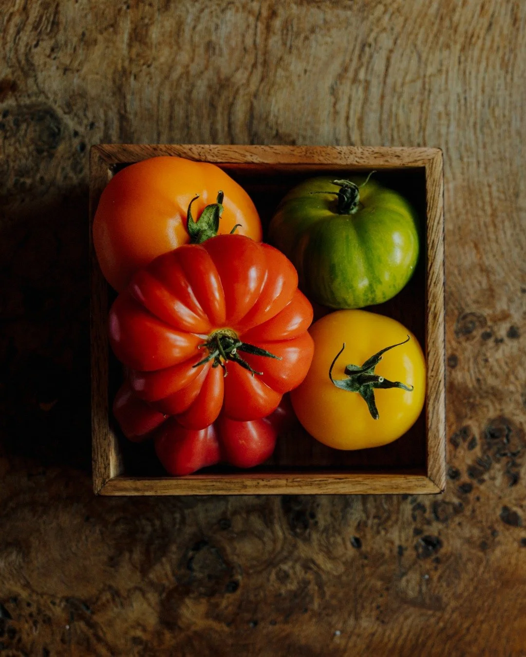 This summer at The Wildebeest.

The freshest flavours, pops of colour on the plate and the very best seasonal ingredients, expertly prepared and beautifully presented.

A true taste of summer in every dish.

#TheWildebeest #SummerDining #SeasonalFlav