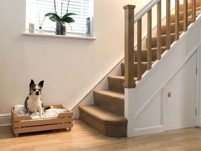 One of many #lockdown projects was this crate style #dogbed is solid #beech, inspired by some old french vegetable crates we&rsquo;ve had for a while. I made this to fit a single regular bed pillow, which Maurice has always liked to sleep on, meaning