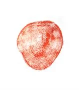 Two Hundred Years Red