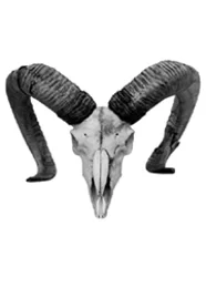 Round the Horns