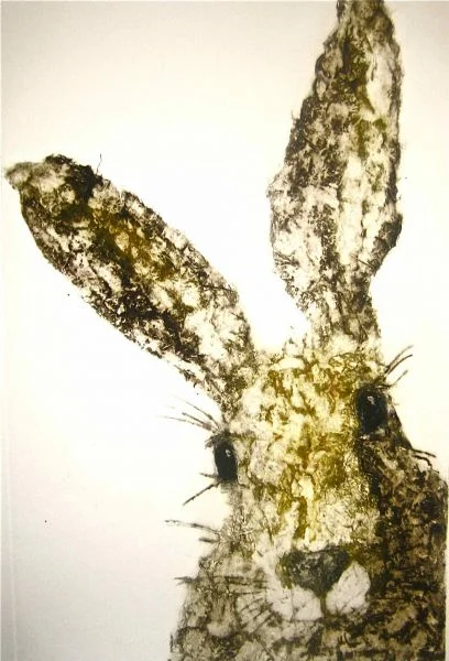 Honey Hare