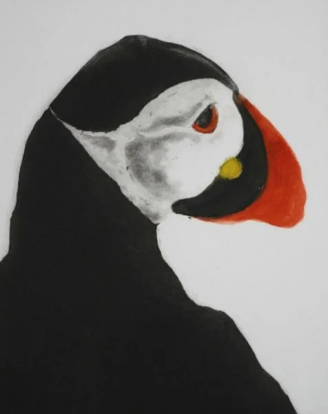 Nuffin But Puffin