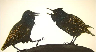 Squabble of Starlings