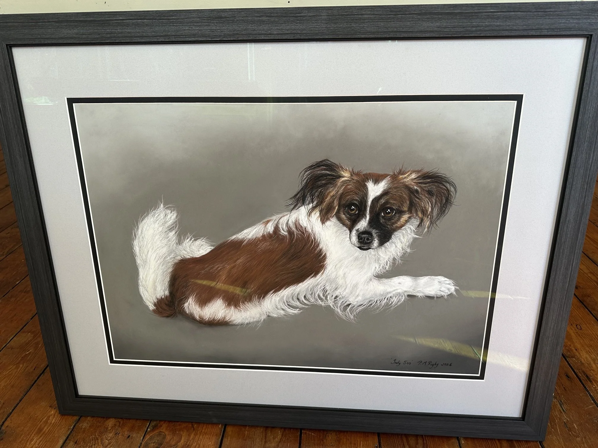 Dog Portrait  - Oils and Pastel on Clairfontaine Pastelmat.  Framed   £900.