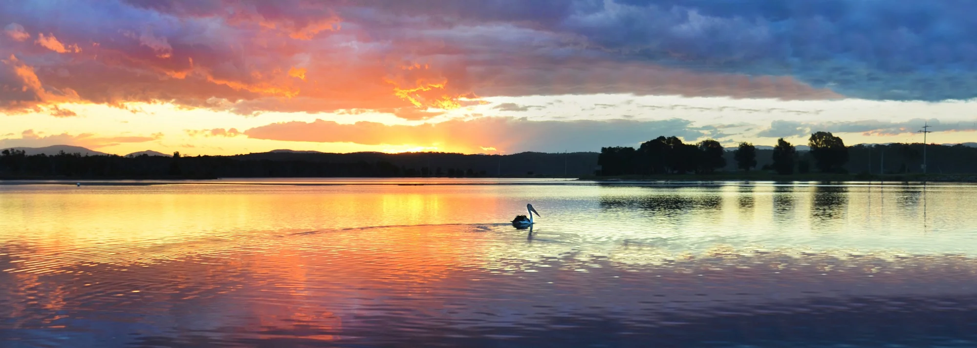 B&S - page banner lake & pelican.jpg