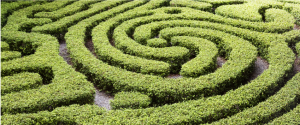 Maze-300x125.png