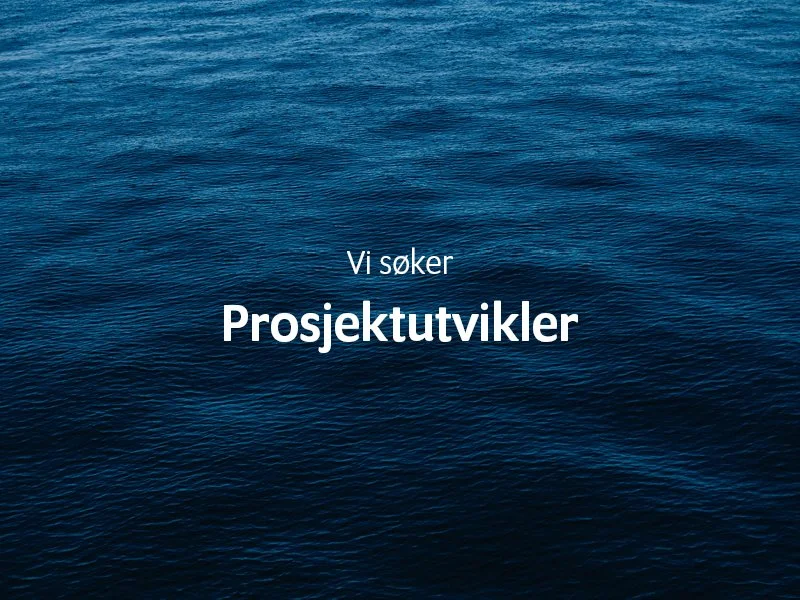 Vi søker prosjektutvikler!