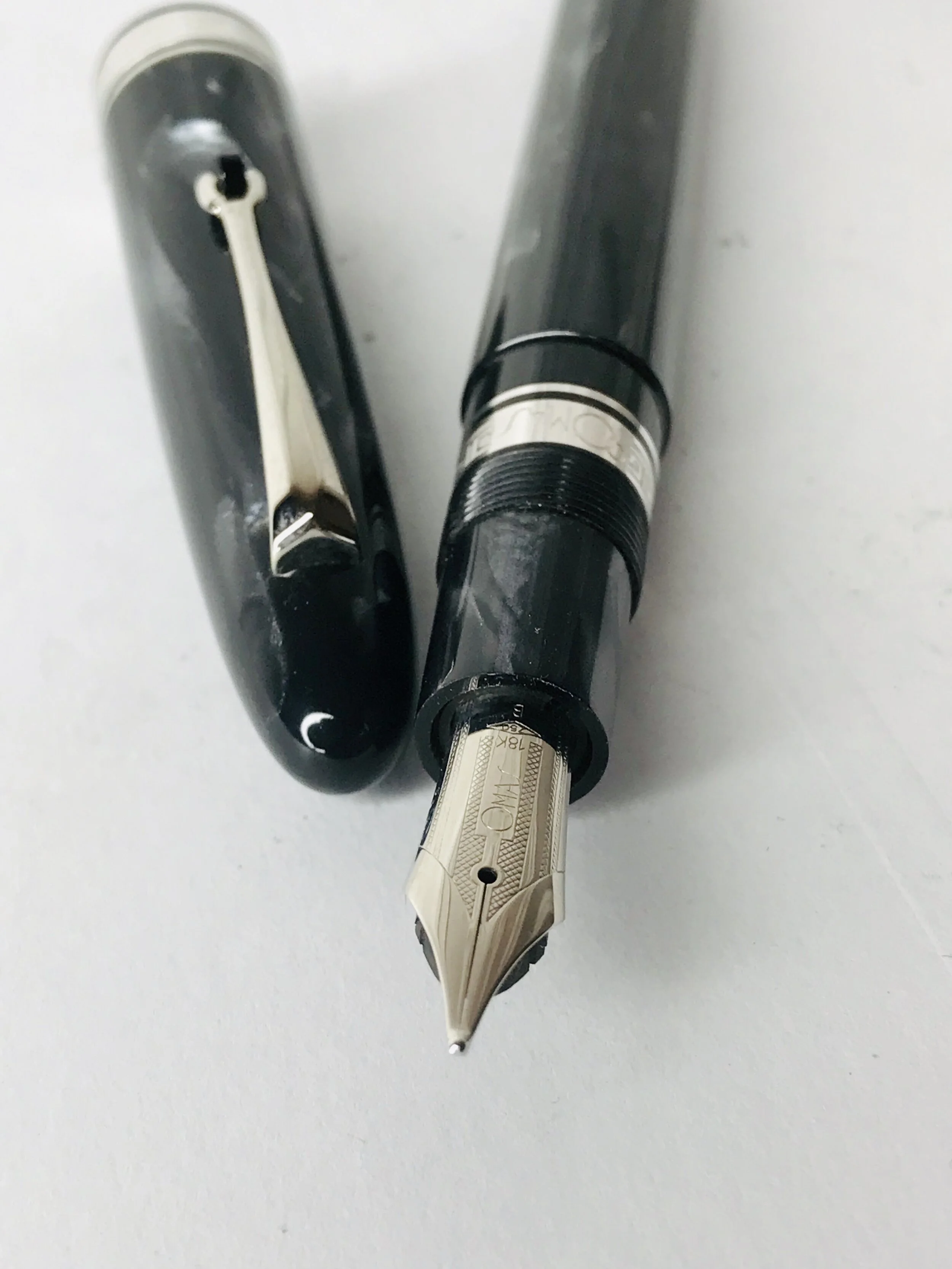 Omas Ogiva Grey Pearl 90th Anniversary Celluloid Fountain Pen (B)