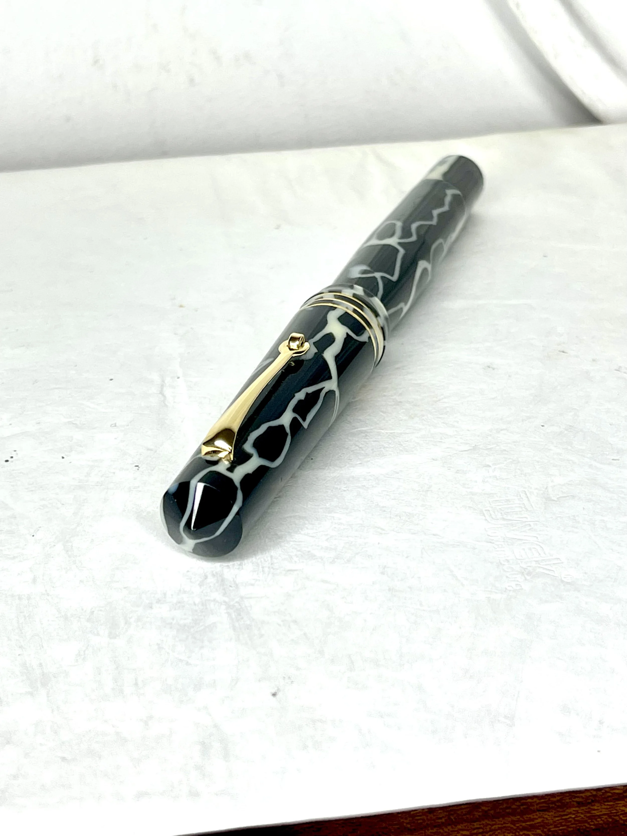 Leonardo Momento Zero Grande in Omas Wilde Celluloid Fountain Pen (F)