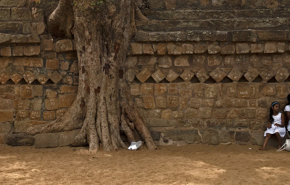 NR.51_SRI LANKA_GIRL W TREE.jpg
