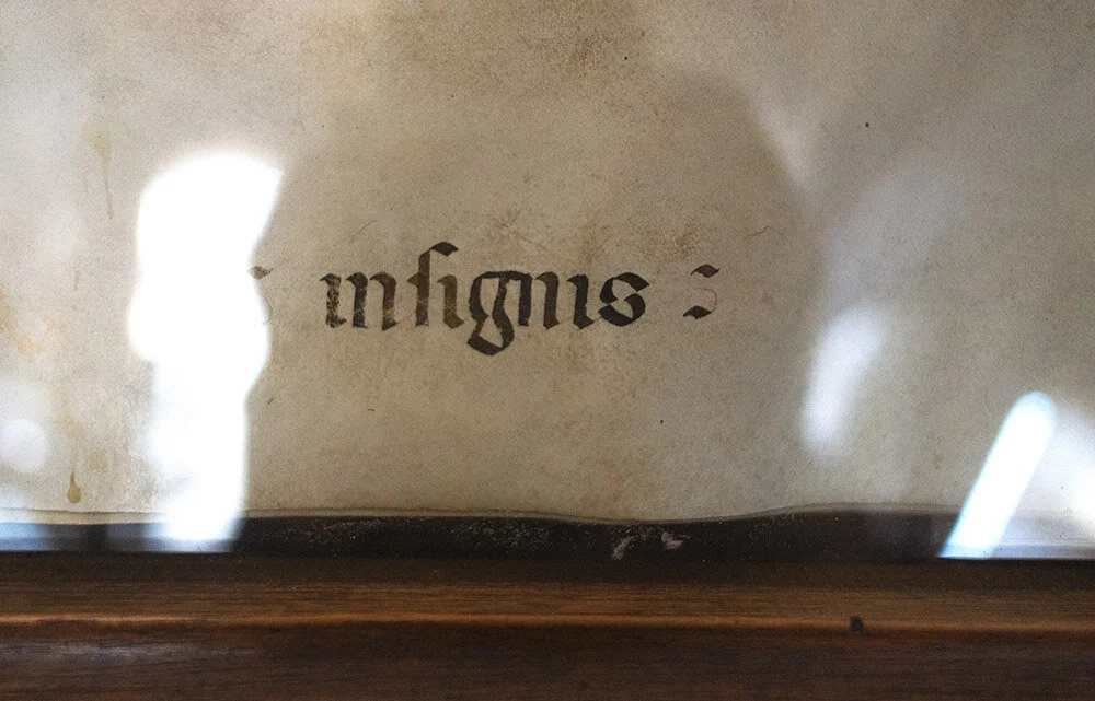 NR.42_INFIGNIS.jpg