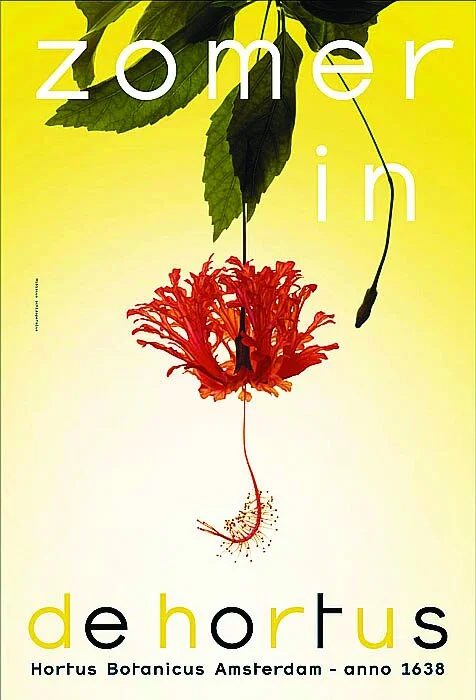 DE HORTUS_summer.jpg