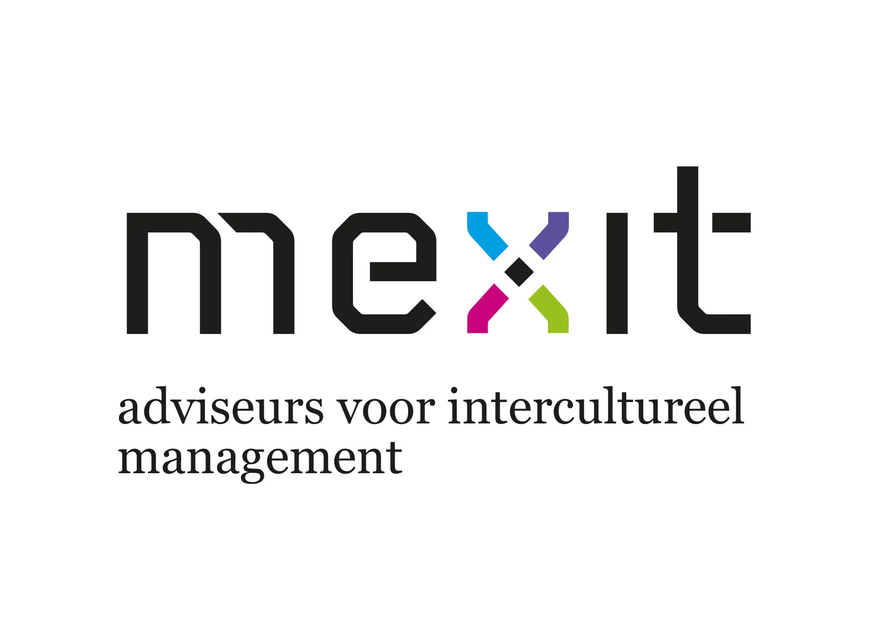 MEXIT_WWW-logo.jpg