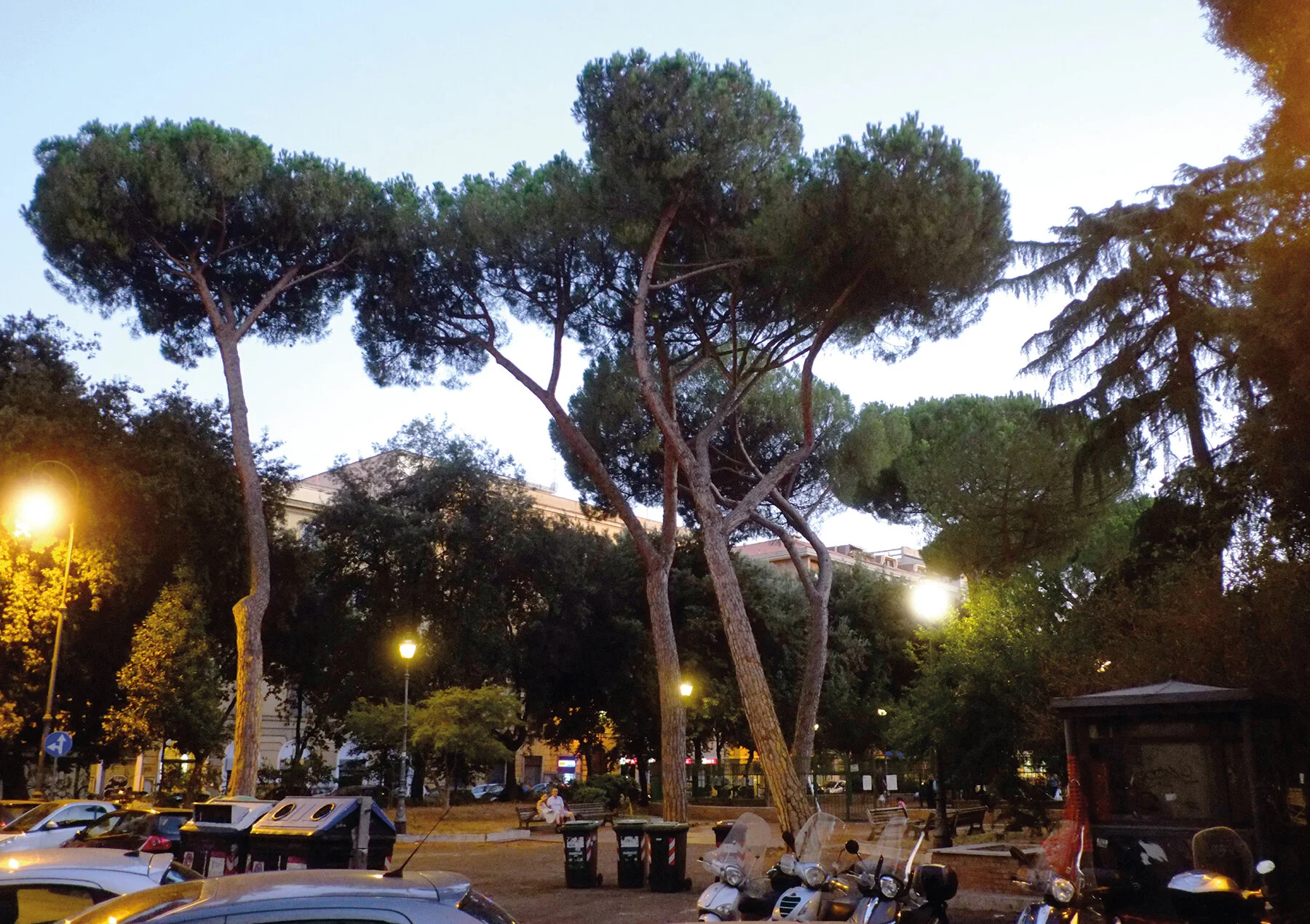 ROME_COUPLE, SITTING.jpg