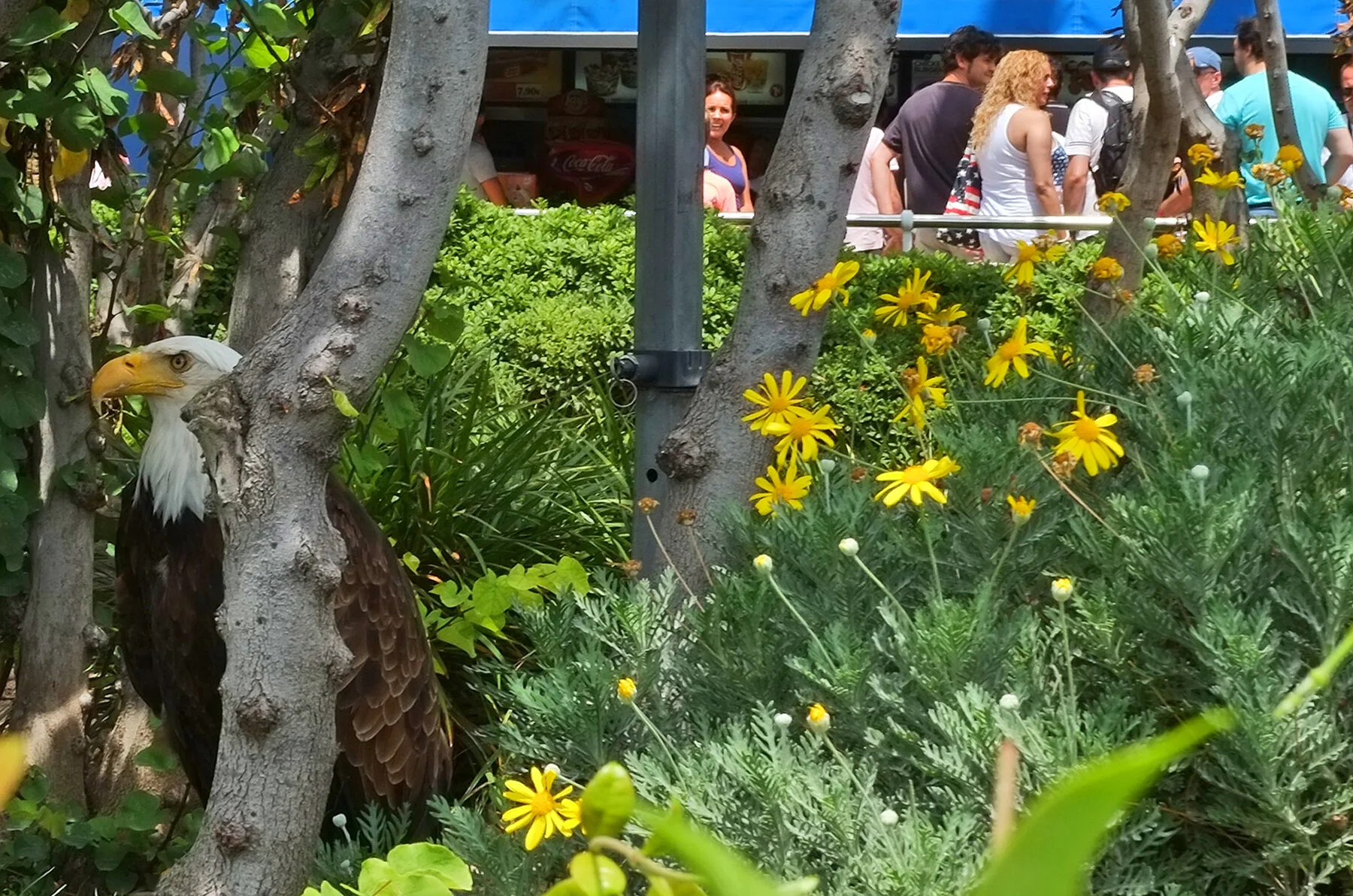 0058_ZEEAREND IN PLANTSOEN.jpg